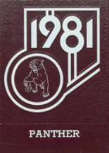 1981 Cyrus High School Yearbook from Cyrus, Minnesota cover image