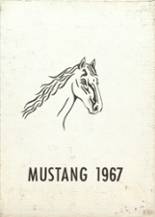 North Winneshiek High School 1967 yearbook cover photo