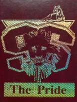 1996 Buena Vista High School Yearbook from Corona, California cover image