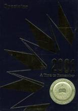 Wayne Memorial High School 2001 yearbook cover photo