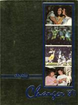 Northeast High School 1987 yearbook cover photo