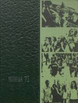 1973 Northridge High School Yearbook from Johnstown, Ohio cover image