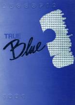 1991 Burrell High School Yearbook from Lower burrell, Pennsylvania cover image