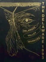 Delaware Valley High School 1993 yearbook cover photo