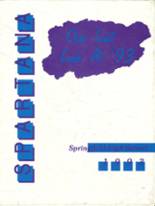 Springfield High School 1993 yearbook cover photo