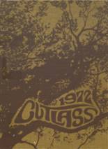 1972 Brunswick High School Yearbook from Brunswick, Georgia cover image