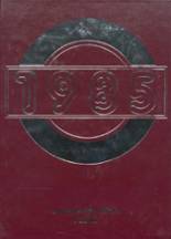 1985 Lodgepole High School Yearbook from Lodgepole, Nebraska cover image