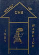 1981 Castlewood High School Yearbook from Castlewood, South Dakota cover image