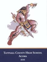 Tattnall County High School 2011 yearbook cover photo