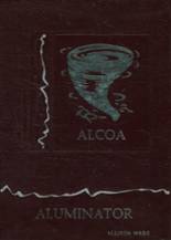 Alcoa High School 1994 yearbook cover photo