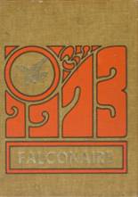 Falconer High School 1973 yearbook cover photo