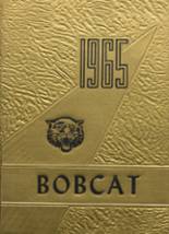1965 Tyrone High School Yearbook from Tyrone, Oklahoma cover image