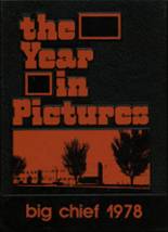 Sleepy Eye High School 1978 yearbook cover photo