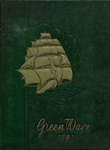 1981 Gallatin High School Yearbook from Gallatin, Tennessee cover image