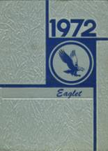Rantoul Township High School 1972 yearbook cover photo