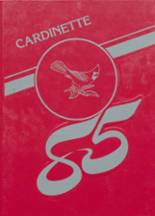 1985 Clarkfield High School Yearbook from Clarkfield, Minnesota cover image