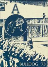 Alliance High School 1973 yearbook cover photo