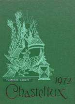 Academy of Mt. St. Vincent 1972 yearbook cover photo