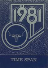 Hyannis High School 1981 yearbook cover photo