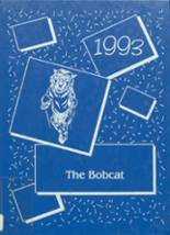 1993 Fruitvale High School Yearbook from Fruitvale, Texas cover image