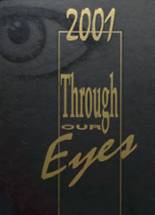 2001 Mt. Vernon High School Yearbook from Fortville, Indiana cover image