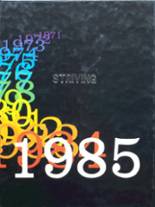 1985 Columbus Community High School Yearbook from Columbus junction, Iowa cover image