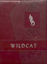 1960 Dade County High School Yearbook from Trenton, Georgia cover image