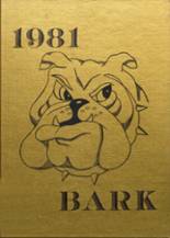 Le Mars Community High School 1981 yearbook cover photo