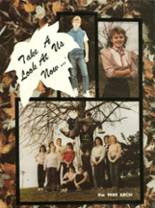 Little Chute High School 1985 yearbook cover photo