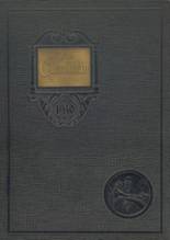 Jacksonville High School 1930 yearbook cover photo