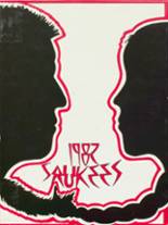 1982 Pittsfield High School Yearbook from Pittsfield, Illinois cover image