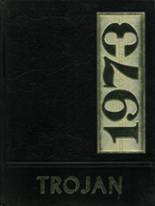 1973 Springfield High School Yearbook from East springfield, New York cover image