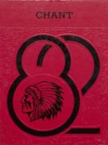 Bellefontaine High School 1982 yearbook cover photo