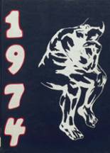 1974 Nonnewaug High School Yearbook from Woodbury, Connecticut cover image