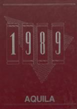 1989 Lyndon Baines Johnson High School Yearbook from Johnson city, Texas cover image