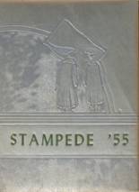 Bridgeport High School 1955 yearbook cover photo