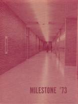 Norfolk High School 1973 yearbook cover photo