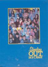 Rosemount High School 1987 yearbook cover photo