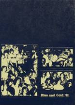1981 Foley High School Yearbook from Foley, Alabama cover image