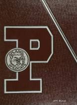 Plano High School 1981 yearbook cover photo