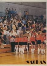 St. Charles High School 1982 yearbook cover photo