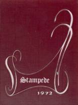 1972 Bridgeport High School Yearbook from Bridgeport, Texas cover image