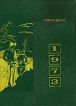 1973 Penn-Trafford High School Yearbook from Harrison city, Pennsylvania cover image
