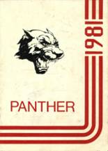 1981 Collinsville High School Yearbook from Collinsville, Alabama cover image