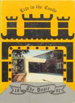 Newcastle High School 1987 yearbook cover photo