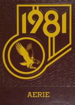 McKenzie High School 1981 yearbook cover photo