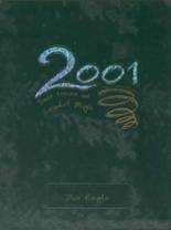Saydel High School 2001 yearbook cover photo