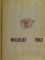 Cunningham High School 1963 yearbook cover photo