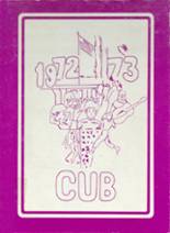 1973 Salem High School Yearbook from Salem, South Dakota cover image