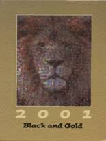2001 Camden Central High School Yearbook from Camden, Tennessee cover image